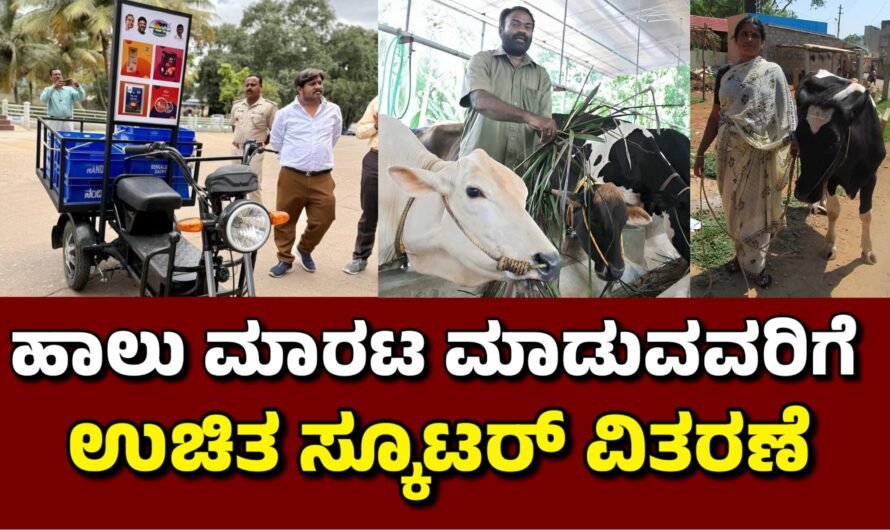 Scooter ಹಾಲು ಮಾರಾಟಗಾರರಿಗೆ ಉಚಿತ ಎಲೆಕ್ಟ್ರಿಕ್ ಸ್ಕೂಟರ್.!