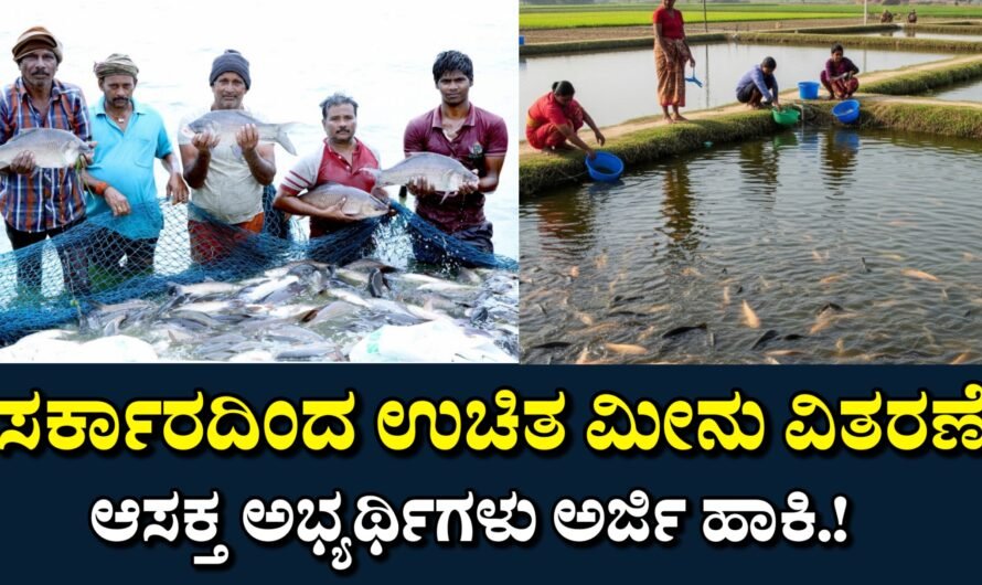 Fish ಉಚಿತ ಮೀನು ಮರಿ ವಿತರಣೆ.!