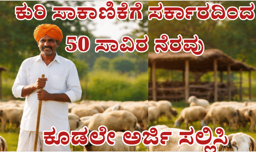 Amrutha swabimani scheme ಕುರಿ ಸಾಕಾಣಿಕೆಗೆ ರಾಜ್ಯ ಸರ್ಕಾರದ ಭರ್ಜರಿ ಸಹಾಯ: 50,000 ನೇರ ಸಬ್ಸಿಡಿ.