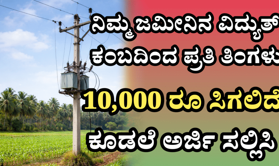 Indian farmers ನಿಮ್ಮ ಜಮೀನಿನಲ್ಲಿ ವಿದ್ಯುತ್ ಕಂಬ ಇದ್ದರೆ ಏನಾಗುತ್ತೆ‌ ಗೊತ್ತಾ… ಎಲ್ಲರು ತಿಳಿಯ ಬೇಕಾದ ಸುದ್ದಿ