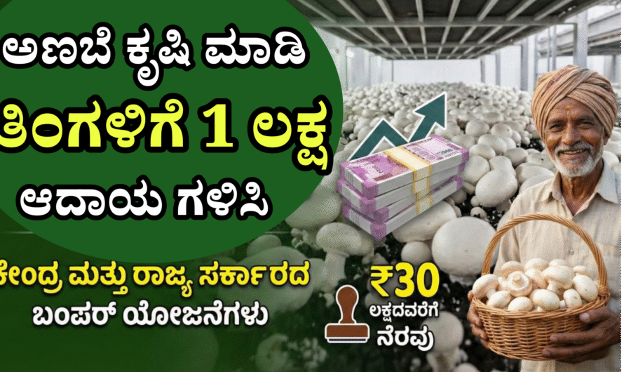 Mushroom Farming ಅಣಬೆ ಸಾಕಾಣಿಕೆಗೆ ಸರ್ಕಾರದಿಂದ 30 ಲಕ್ಷ ಹಣ ಸಿಗಲಿದೆ.! ತಿಂಗಳಿಗೆ 1 ಲಕ್ಷ ಆದಾಯ ಗ್ಯಾರೆಂಟಿ
