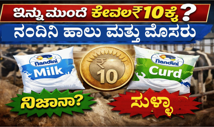 Nandini milk ಇನ್ನು ಮುಂದೆ ಕೇವಲ ₹10ಕ್ಕೆ ನಂದಿನಿ ಹಾಲು ಮತ್ತು ಮೊಸರು? ನಿಜಾನಾ, ಸುಳ್ಳಾ.