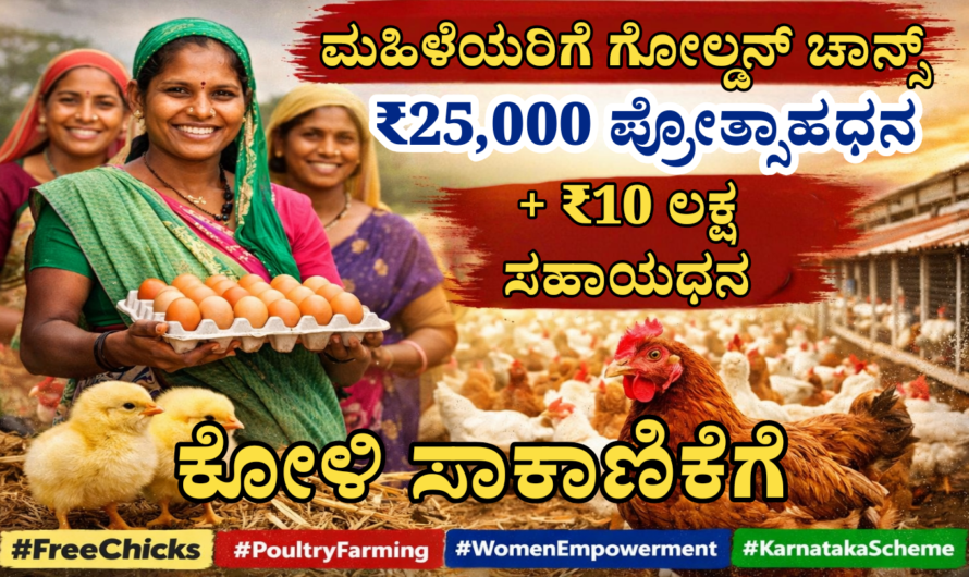 Kukkuta Sanjeevini Scheme 💸 500 ರಿಂದ 1000 ಕೋಳಿಗಳವರೆಗೆ ಲಕ್ಷಾಂತರ ರೂ. ನೆರವು – ಅರ್ಜಿ ಪ್ರಾರಂಭ.