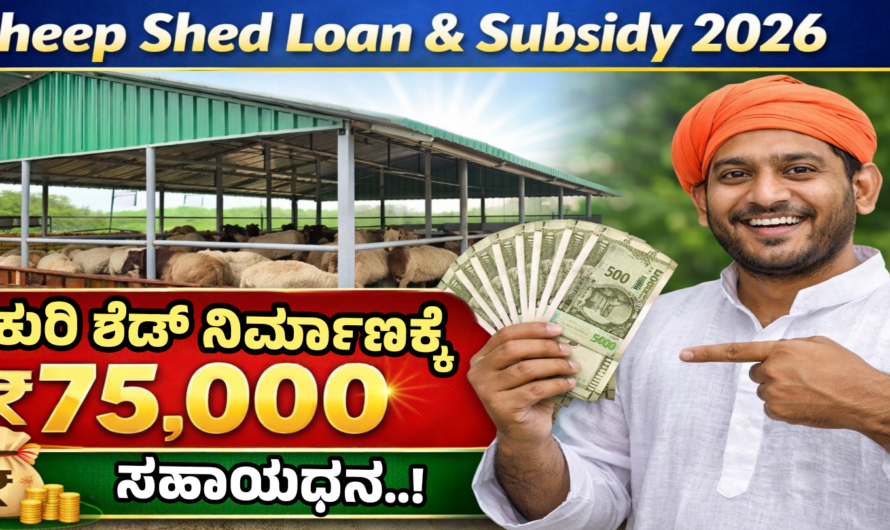 Sheep Shed Loan & Subsidy 2026 ಕುರಿ ಶೆಡ್ ನಿರ್ಮಾಣಕ್ಕೆ ₹75,000 ಸಹಾಯಧನ.