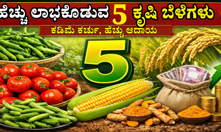 High Profit Crops ಹೆಚ್ಚು ಲಾಭ ಕೊಡುವ 5 ಕೃಷಿ ಬೆಳೆಗಳು – ಕಡಿಮೆ ಖರ್ಚು, ಹೆಚ್ಚು ಆದಾಯ